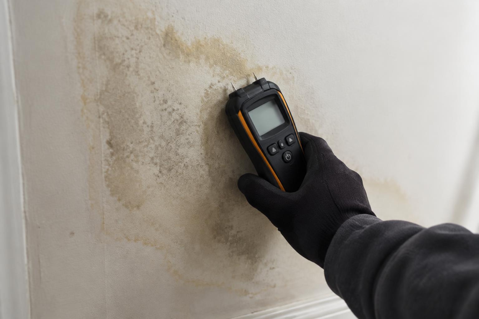 An inspector using a moisture meter to assess mold damage behind a Florida home's drywall